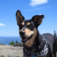 Mike Scott's profile image