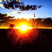 Robin Crever's profile image