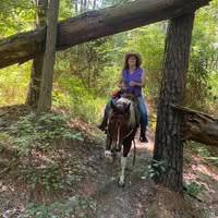 Sandy Wormser Menley's profile image