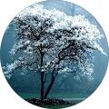 Christian Fleming's Profile Image