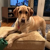 Nancy Fowler Wiseman's profile image