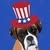 Jennifer Elvis's profile image