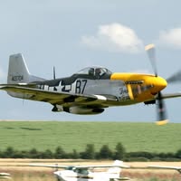Michael Marshall's profile image