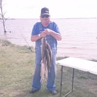 Leroy Williams's profile image