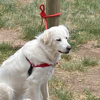 Joanne Kelley's profile image