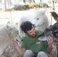 Shawn Anderson's profile image