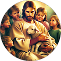 Abin K Jose's profile image