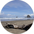 Stacy Coupland's profile image