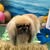Jenn Robinson's profile image