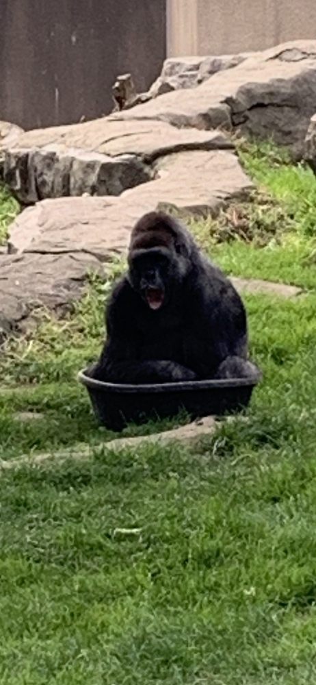Frank A.'s profile image