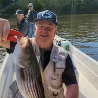 Mike Hogan's profile image