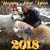 Sally Jo Fox Scott's profile image