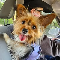 Becky Buchanan Runnels's profile image