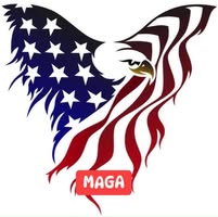 Scott Phillips's profile image