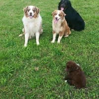 Cathy Sims's profile image