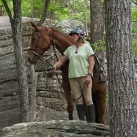 Sue Beard's profile image