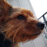 Diego's profile image