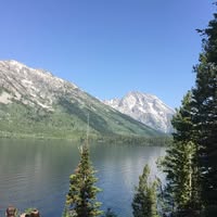 Marquita Fuchs's profile image