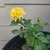 Dee Anna Swanson's profile image