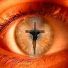 Perry M.'s profile image