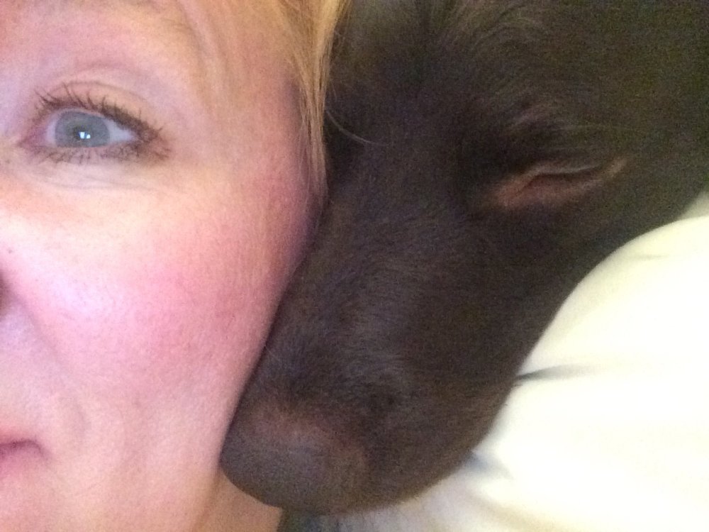 Ellie B.'s profile image