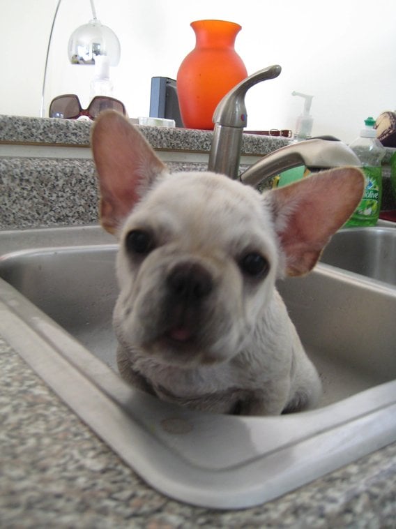 Mandy H.'s profile image