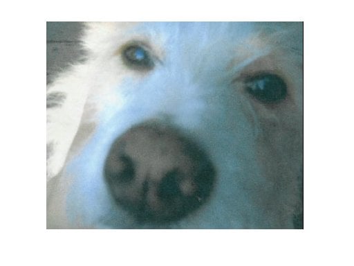 Susan K.'s profile image