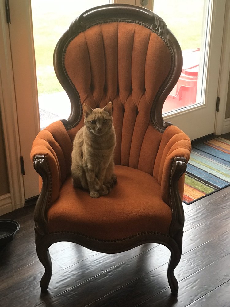 Laurie D.'s profile image