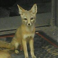 Barbara S.'s profile image