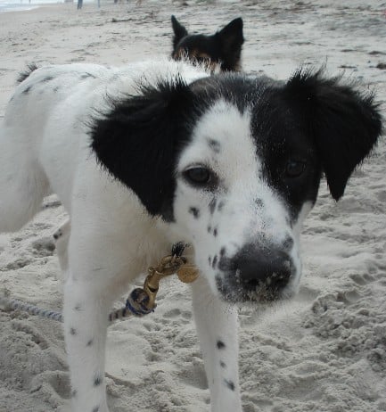 James P.'s profile image