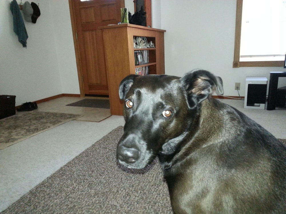 Dave S.'s profile image