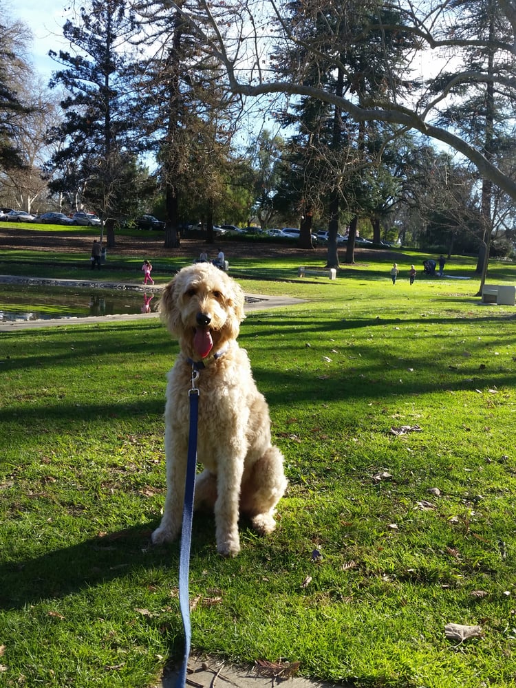 Airica D.'s profile image