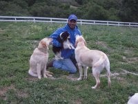 Steven M.'s profile image
