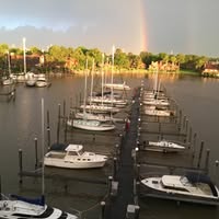 Brenda Trapani's profile image
