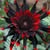 Julie McCausland Gilmore's profile image