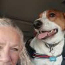 Jennifer N.'s profile image