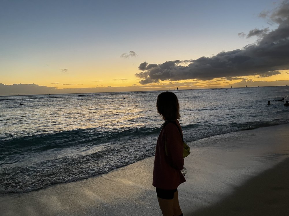 Lily L.'s profile image