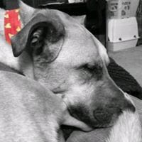 Toni H.'s profile image