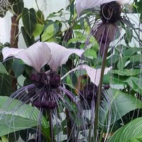 Sandra Brooks Renshaw's profile image