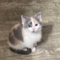 Jennifer Duvall's profile image