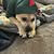Laura Delgardio McCann's profile image