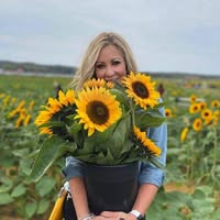 Dawn Criscione's profile image