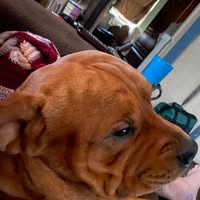 Brian Hedden's profile image