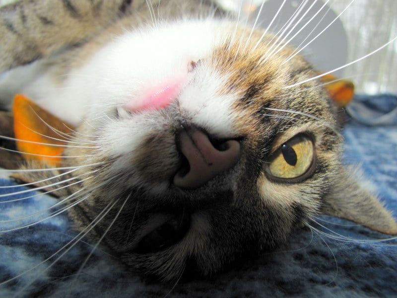 Ductight D.'s profile image