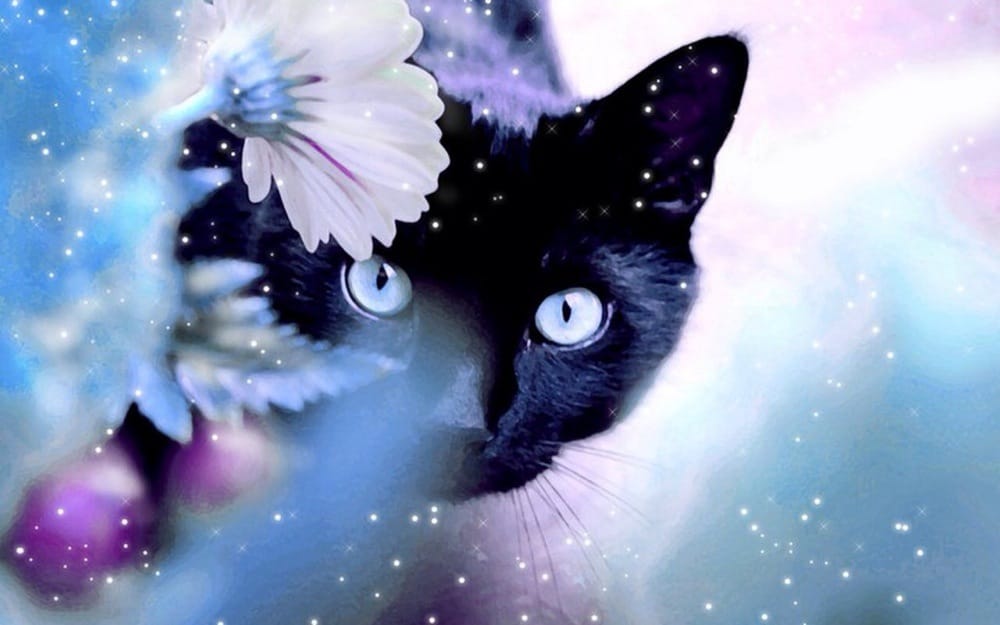 C T.'s profile image