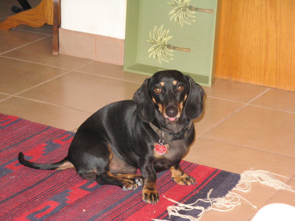 Greg C.'s profile image