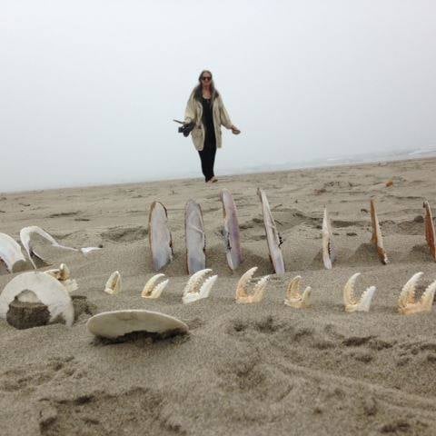 Shanta K.'s profile image