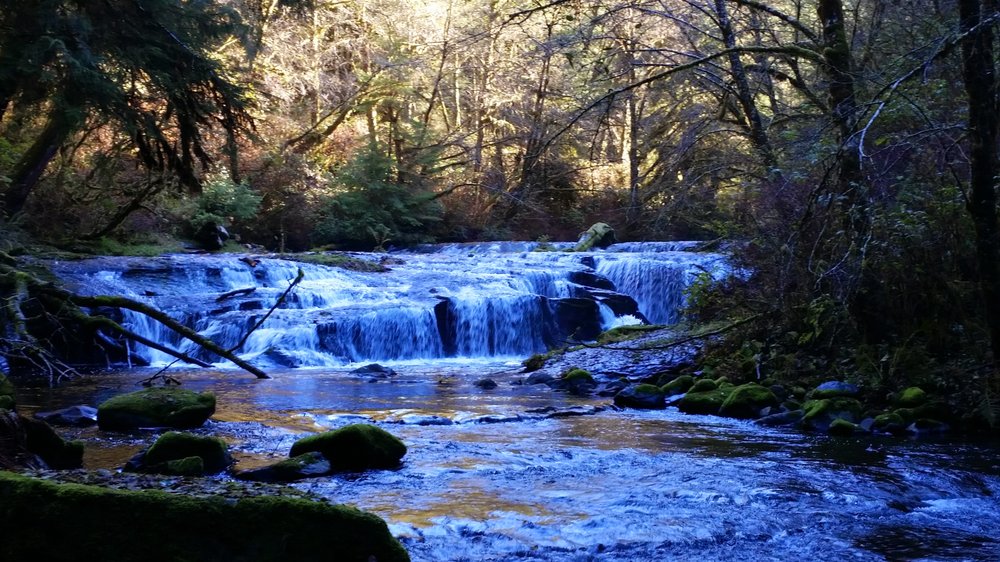 L Shawn H.'s profile image