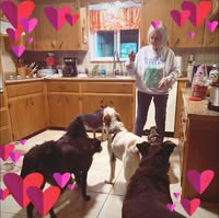 Deborah Dunaway's profile image
