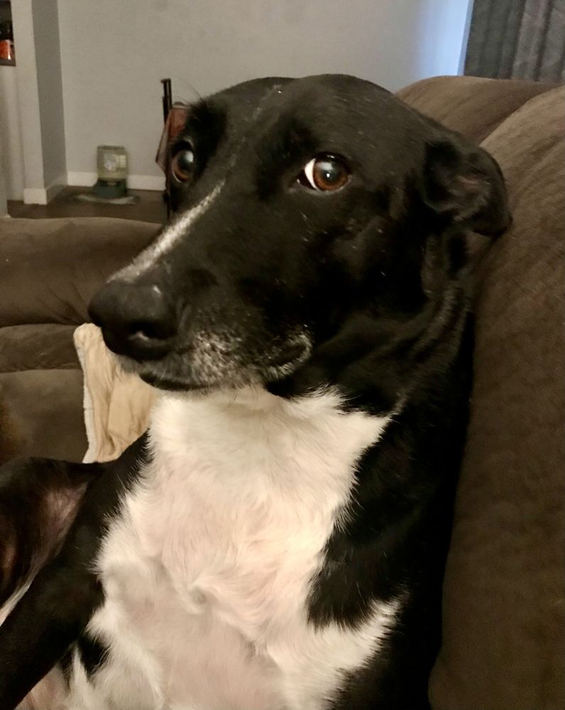 Naomi H.'s profile image